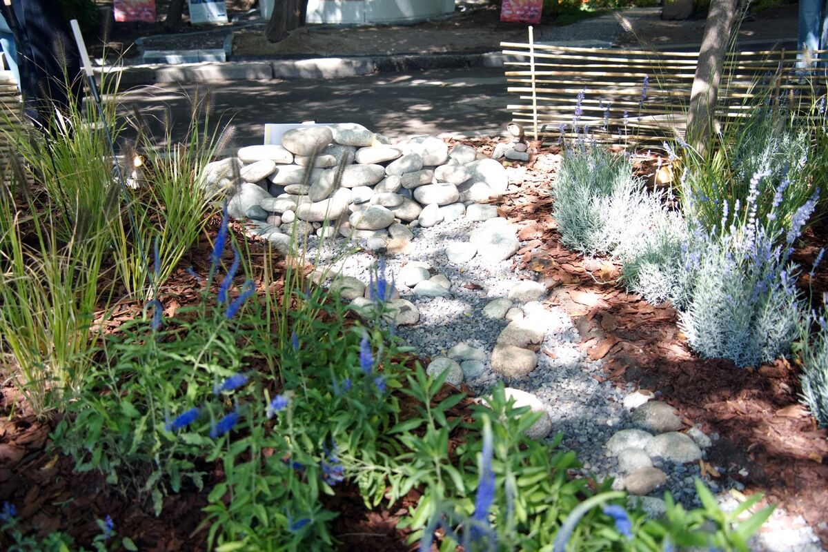 Время гортензий прошло – Фото №3