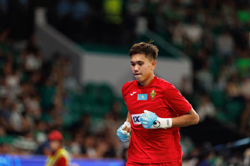 Досрочное поражение