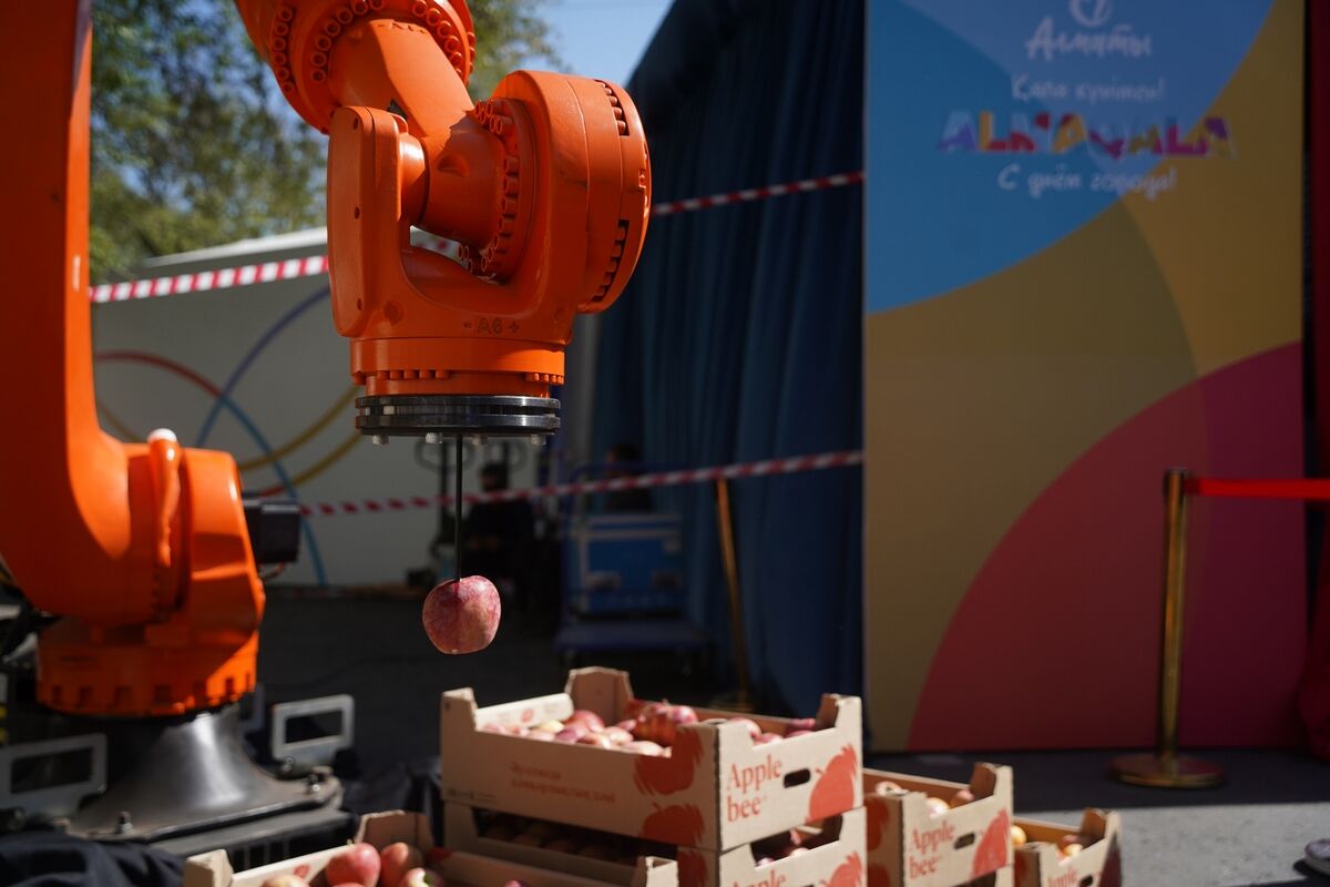 Яблочки цифровые – Фото №4