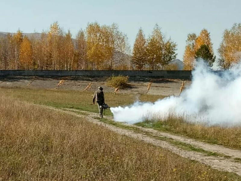 Массовая травля