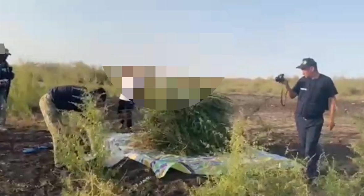 Зелёный груз