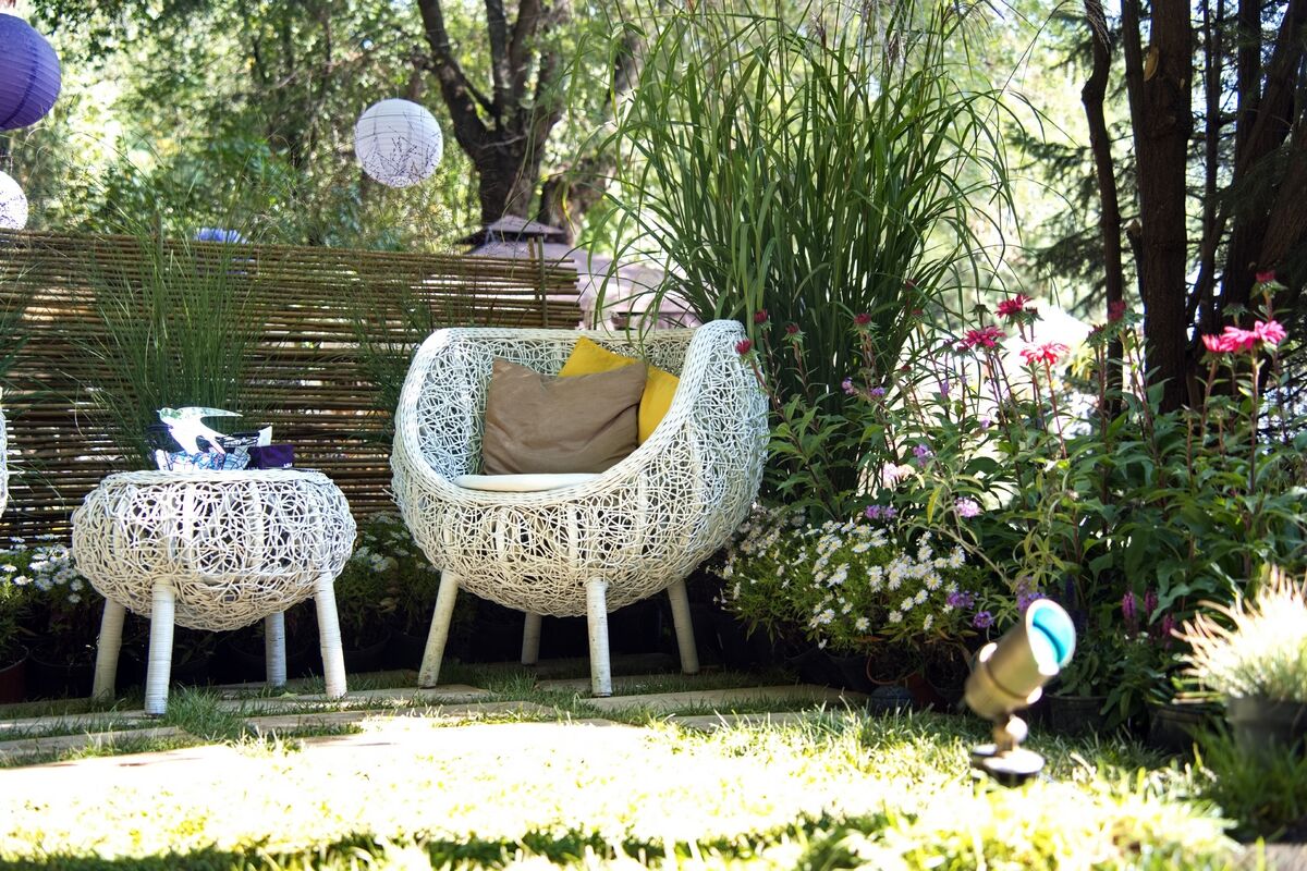 Время гортензий прошло – Фото №6