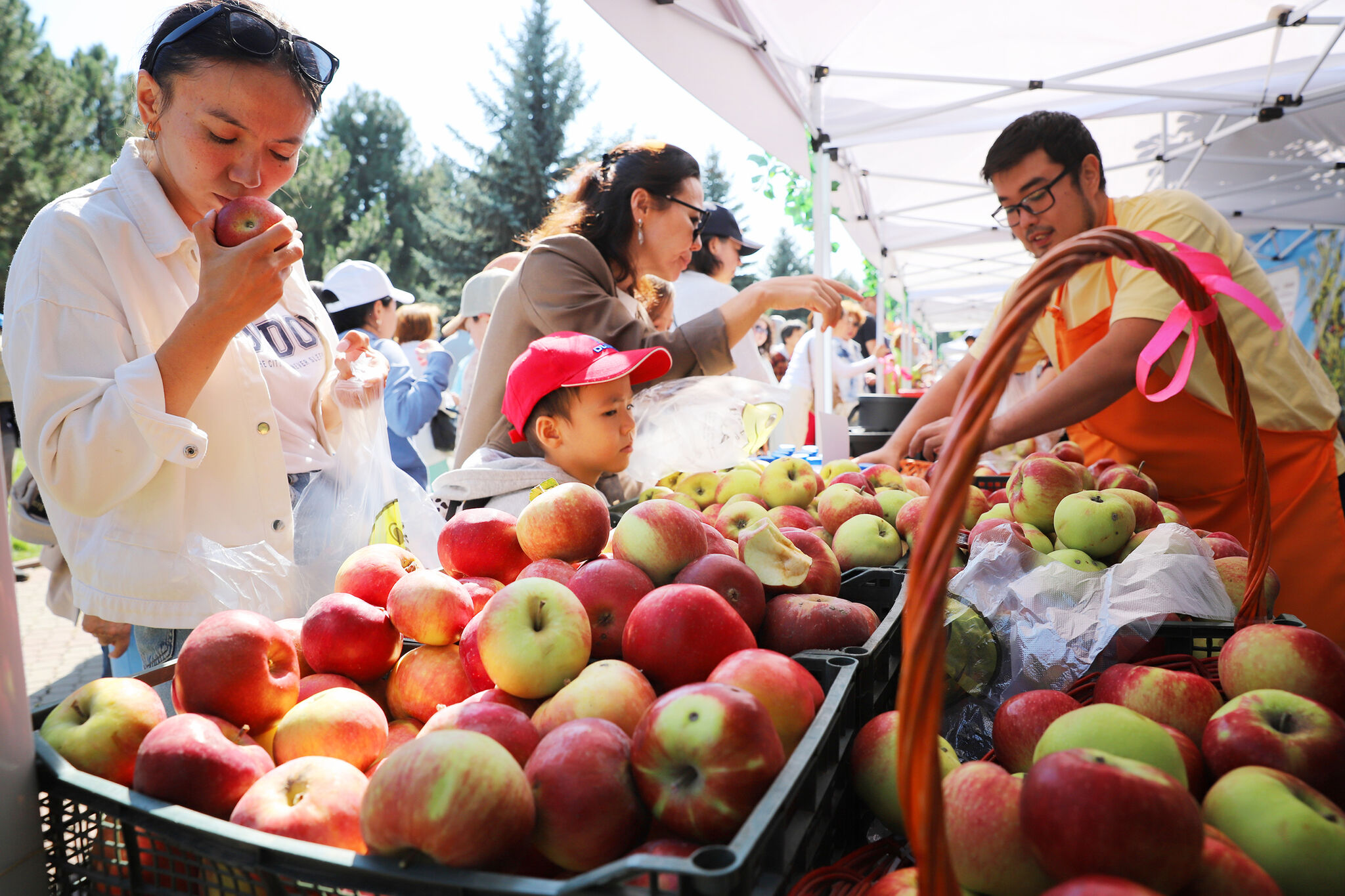 Искушение апортом