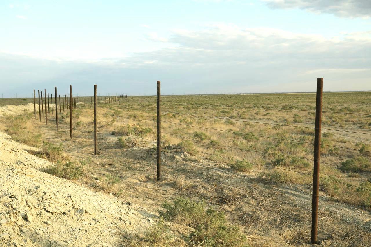 Зелёный шум