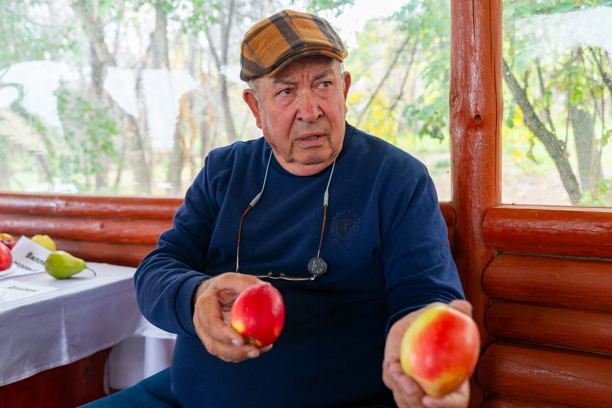 Тренд должен созреть – Фото №5