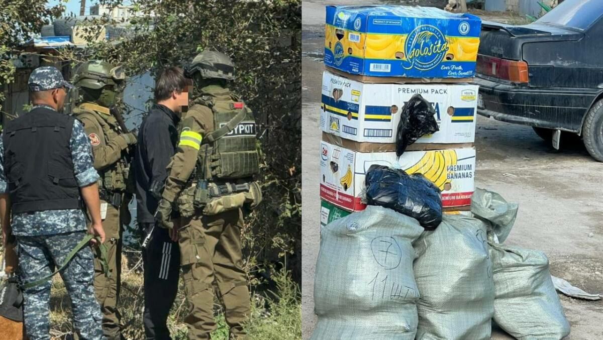 Миллионы на траве