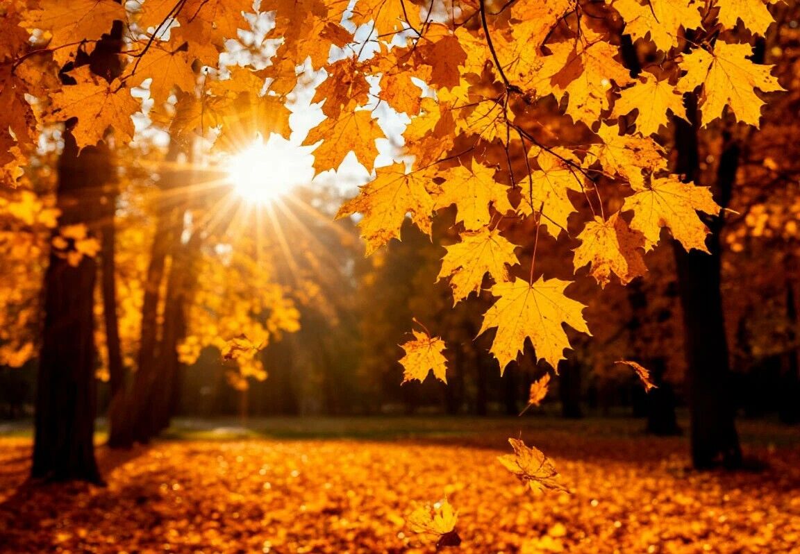 Погода без осадков ожидается в пятницу в большинстве регионов Казахстана