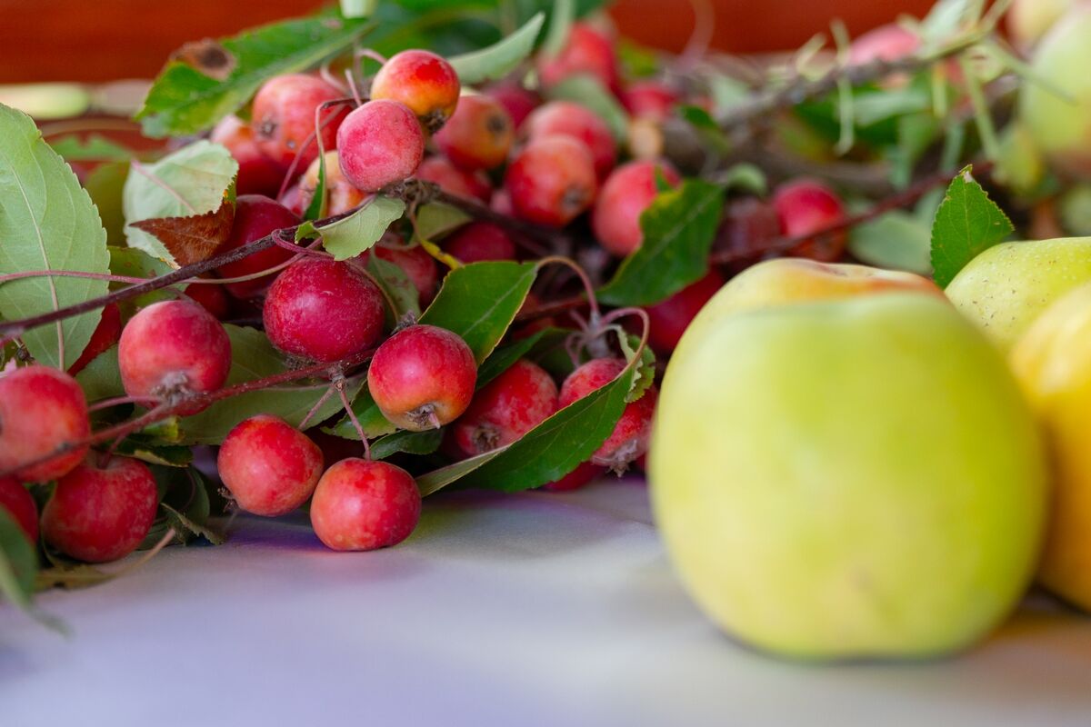 Тренд должен созреть – Фото №3