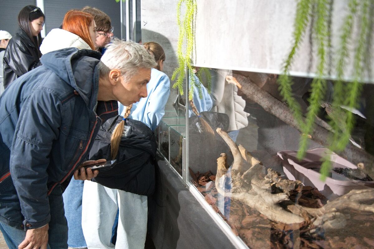 Домашние питонцы – Фото №6