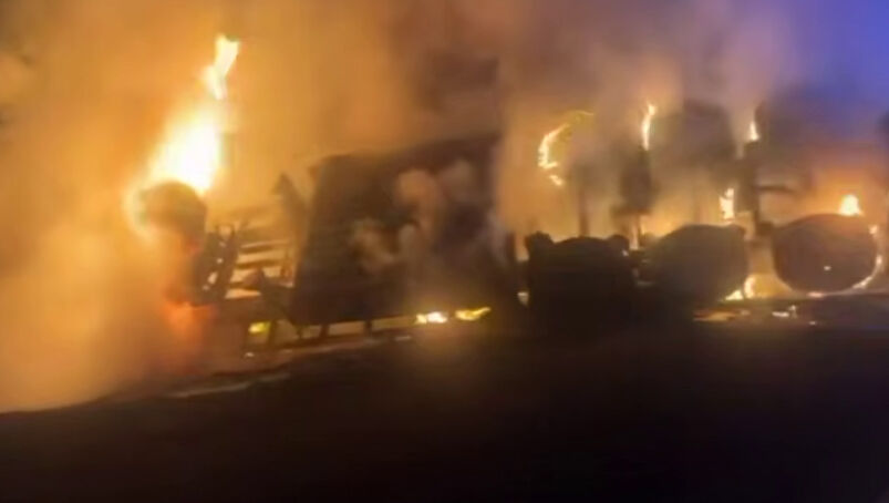 Вырвали из лап смерти