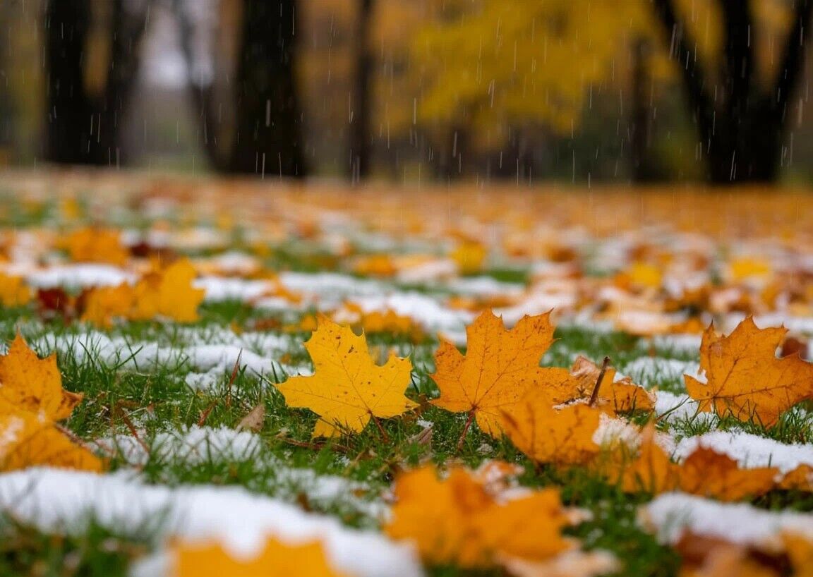 Дождь со снегом ожидается в среду в отдельных регионах Казахстана