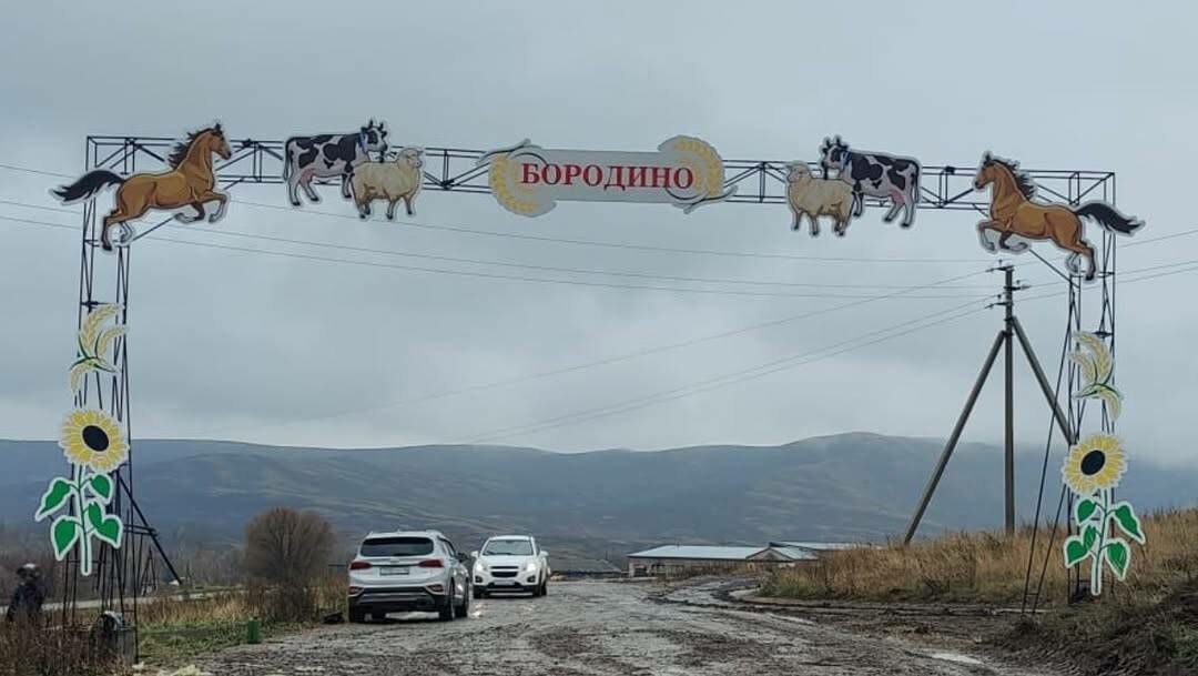 Отвлекающий маневр