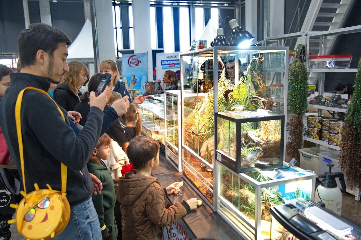 Домашние питонцы – Фото №3