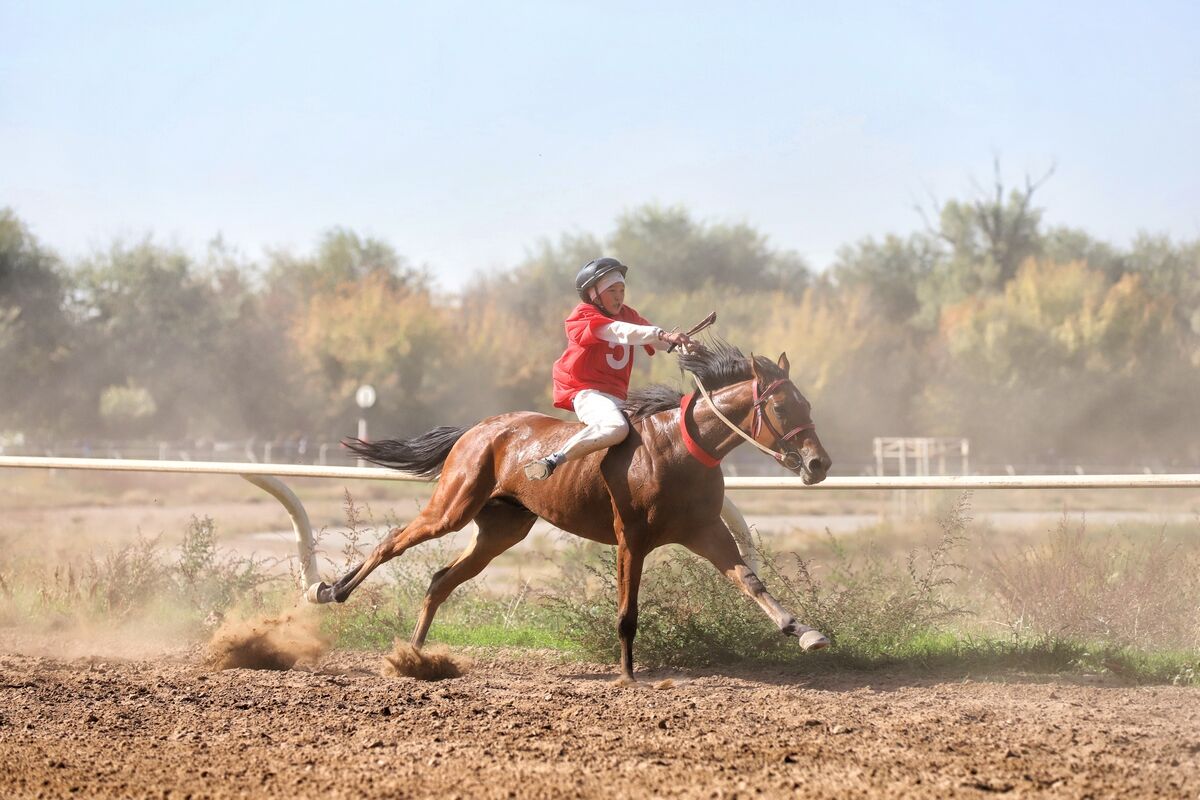 Побайговали – Фото №11