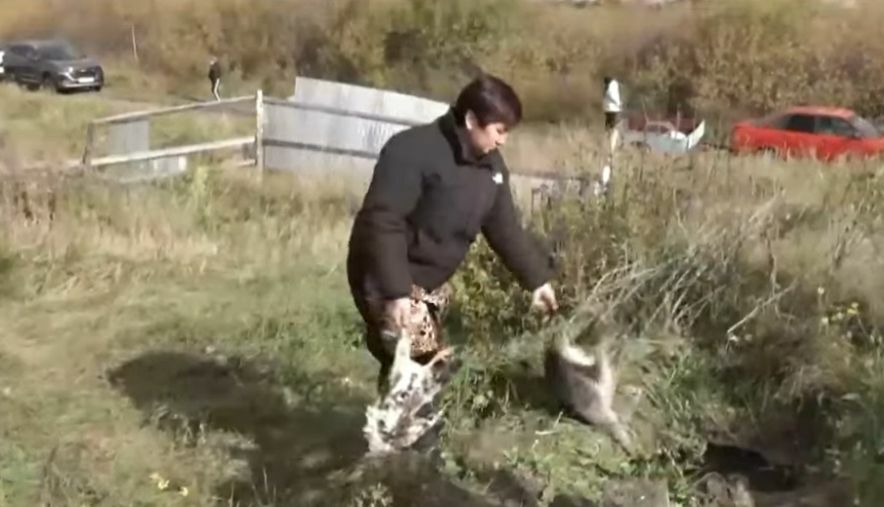 Холера такая!