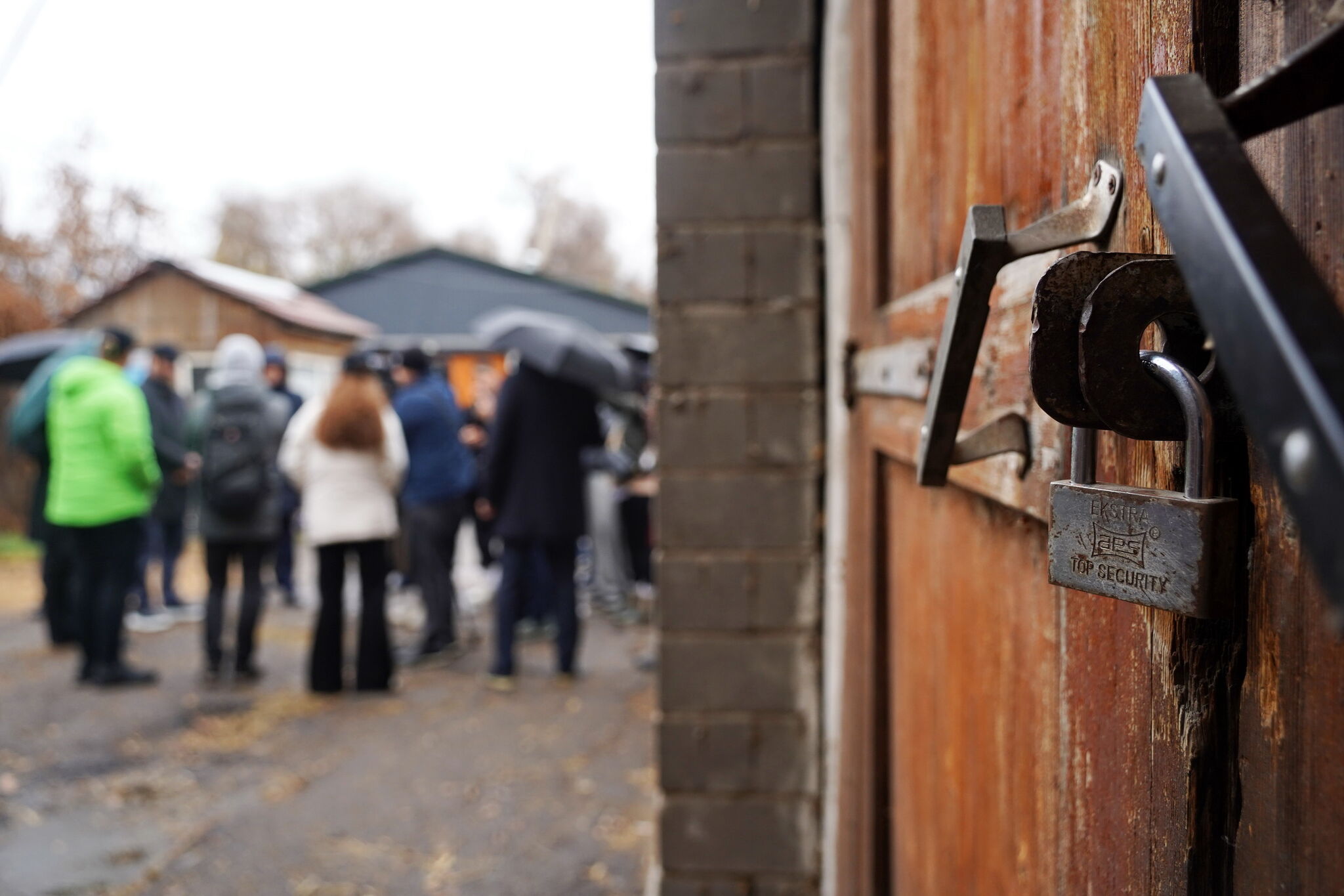 Ждут, пока кони двинут