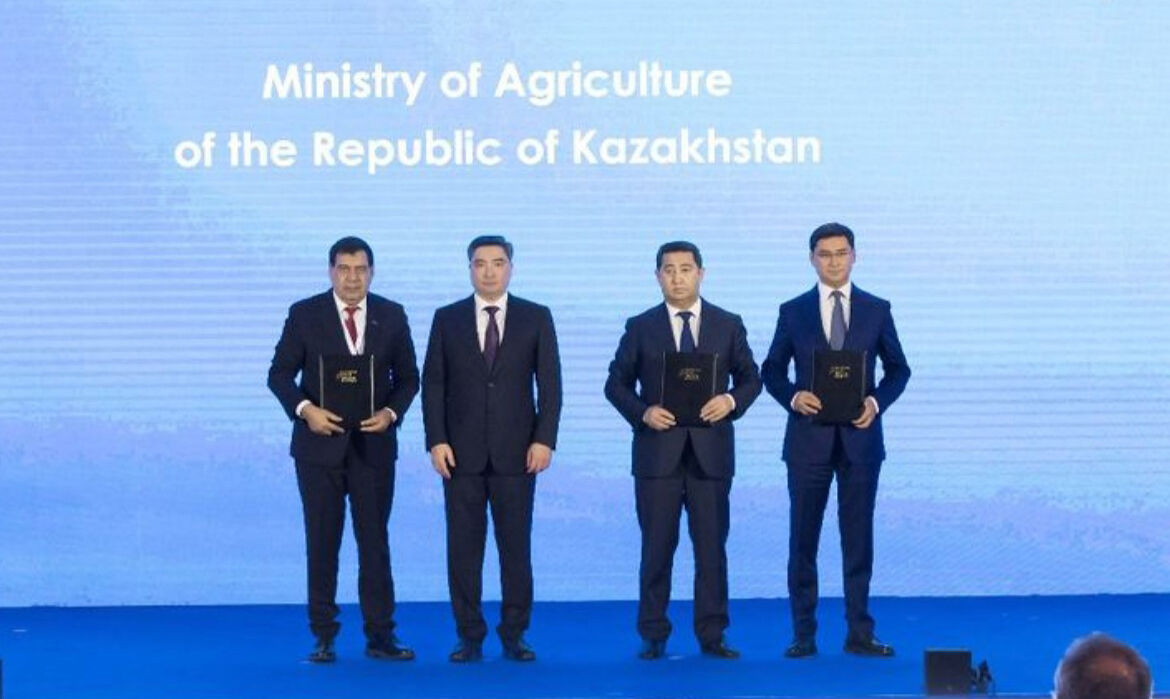 Грандиозный план развития