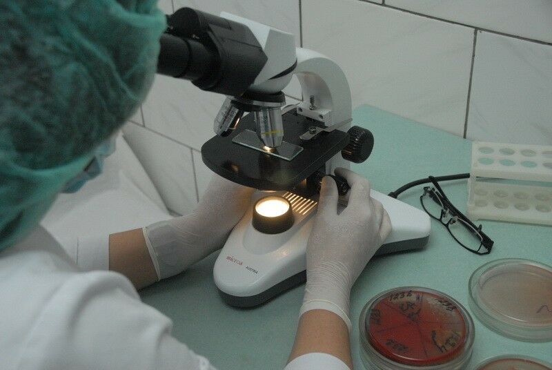 Зараза миновала