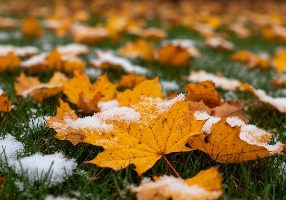 Дождь со снегом ожидается в субботу в ряде регионов Казахстана