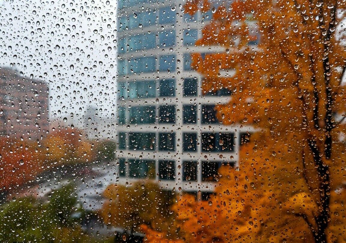 Осадки ожидаются в четверг в ряде регионов Казахстана