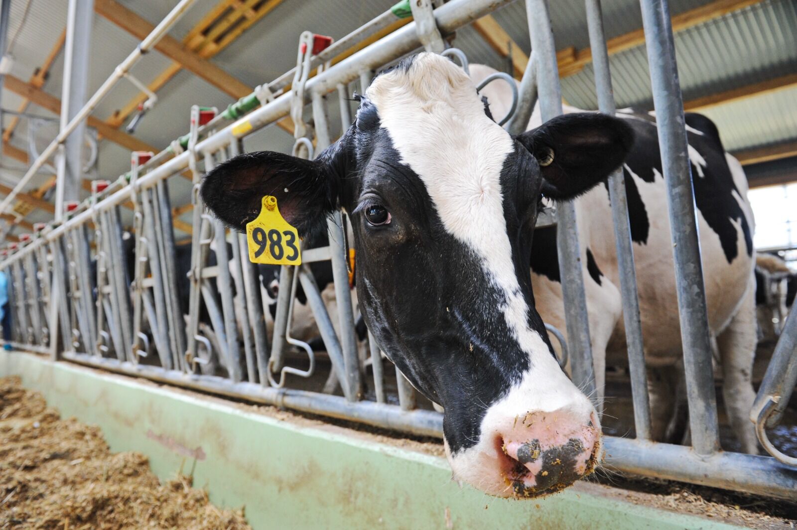 Чтобы не сеяли заразу