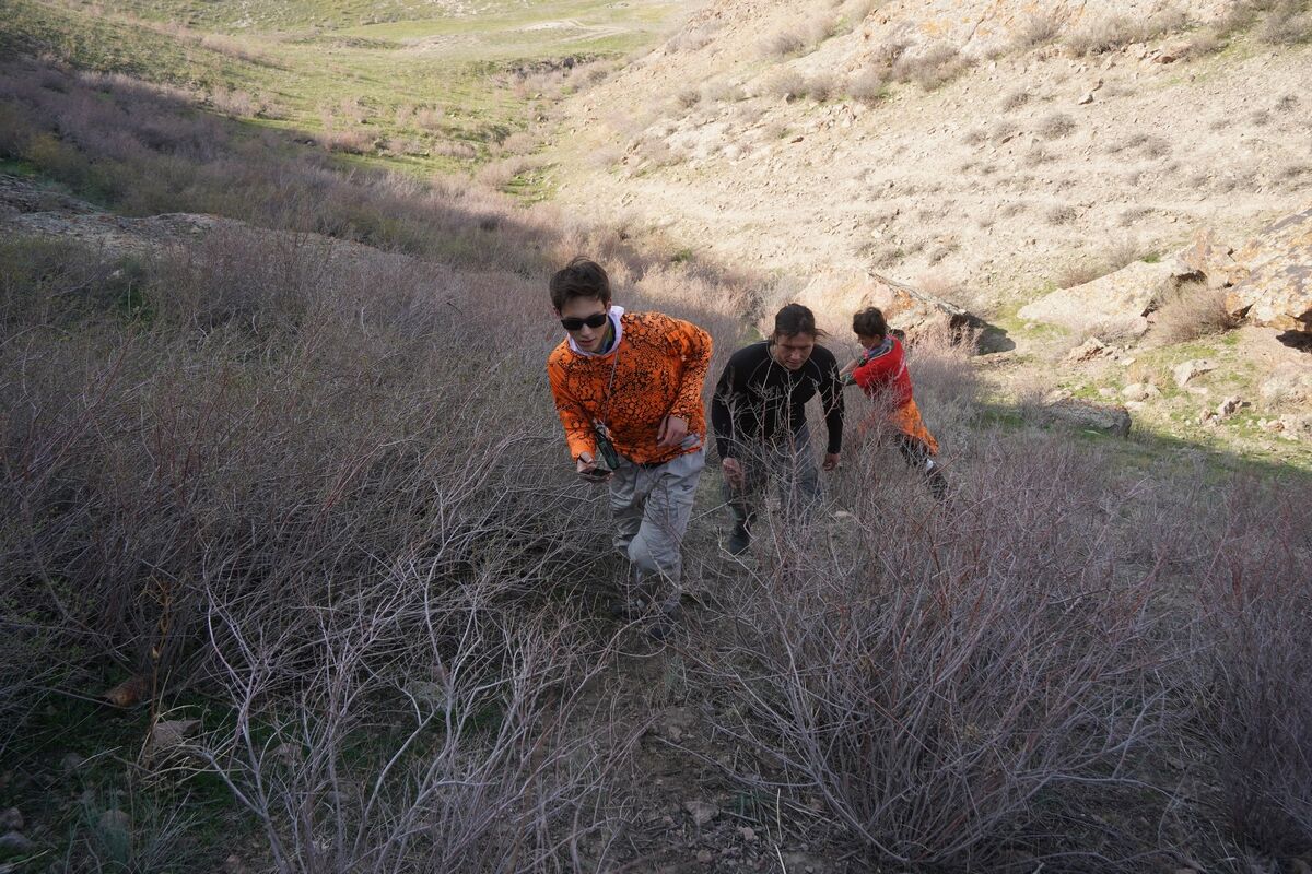 Спасайтесь, чайники! – Фото №9