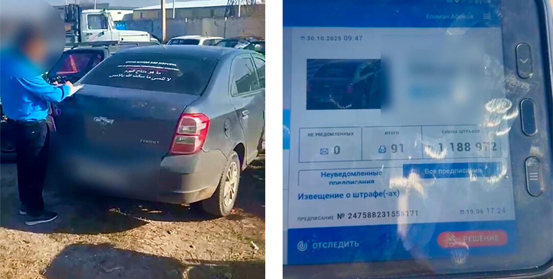 На службе - интеллект!