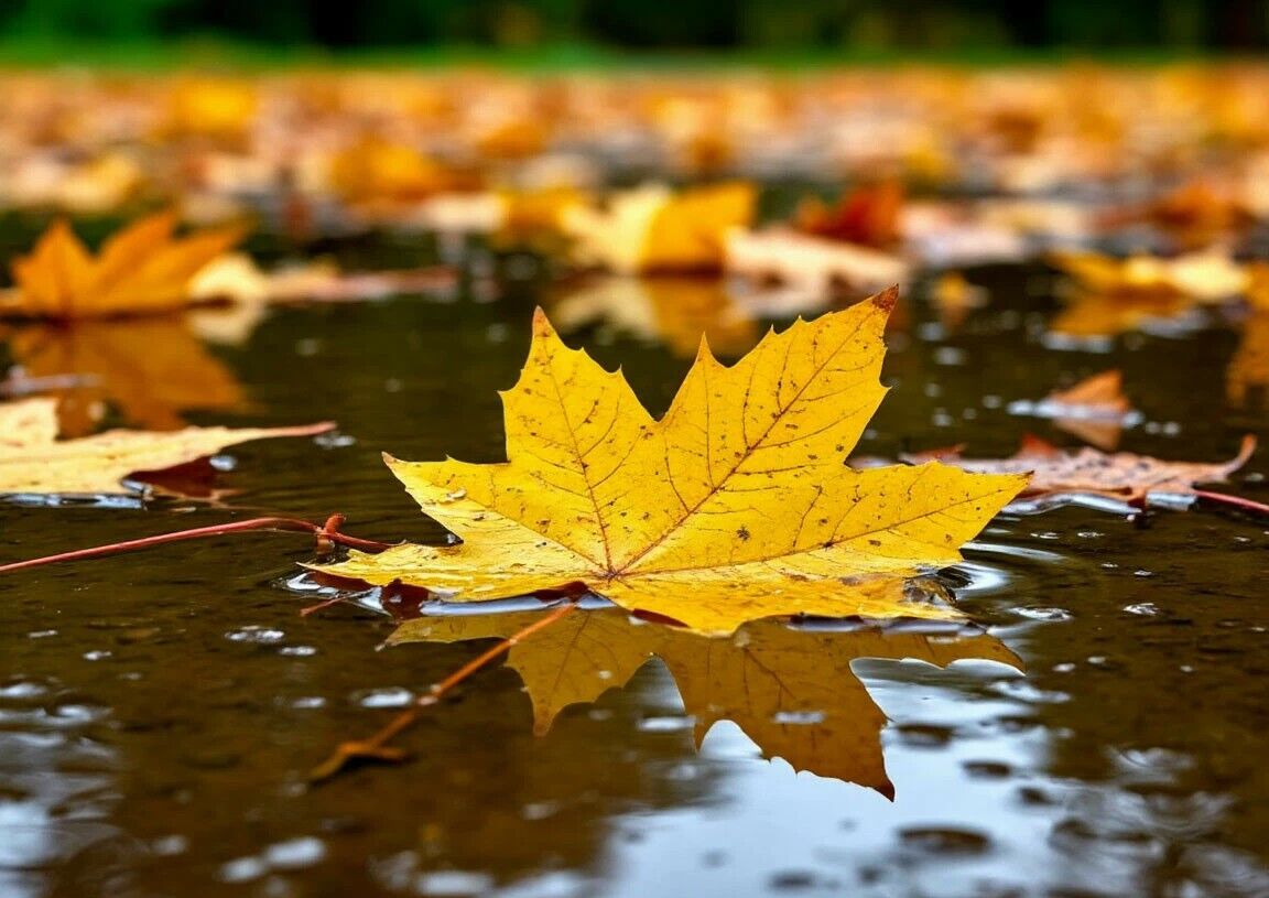 Осадки ожидаются в пятницу в ряде регионов Казахстана