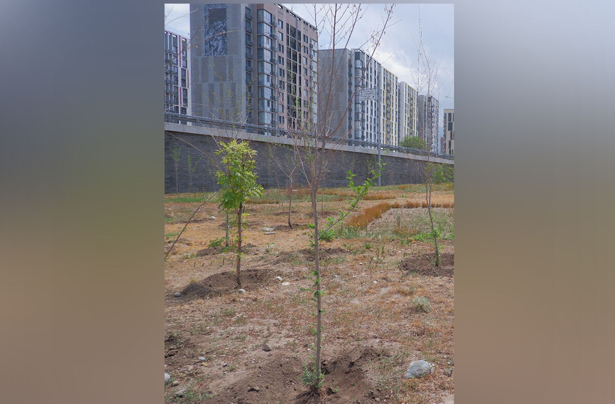 Дорогие ошибки