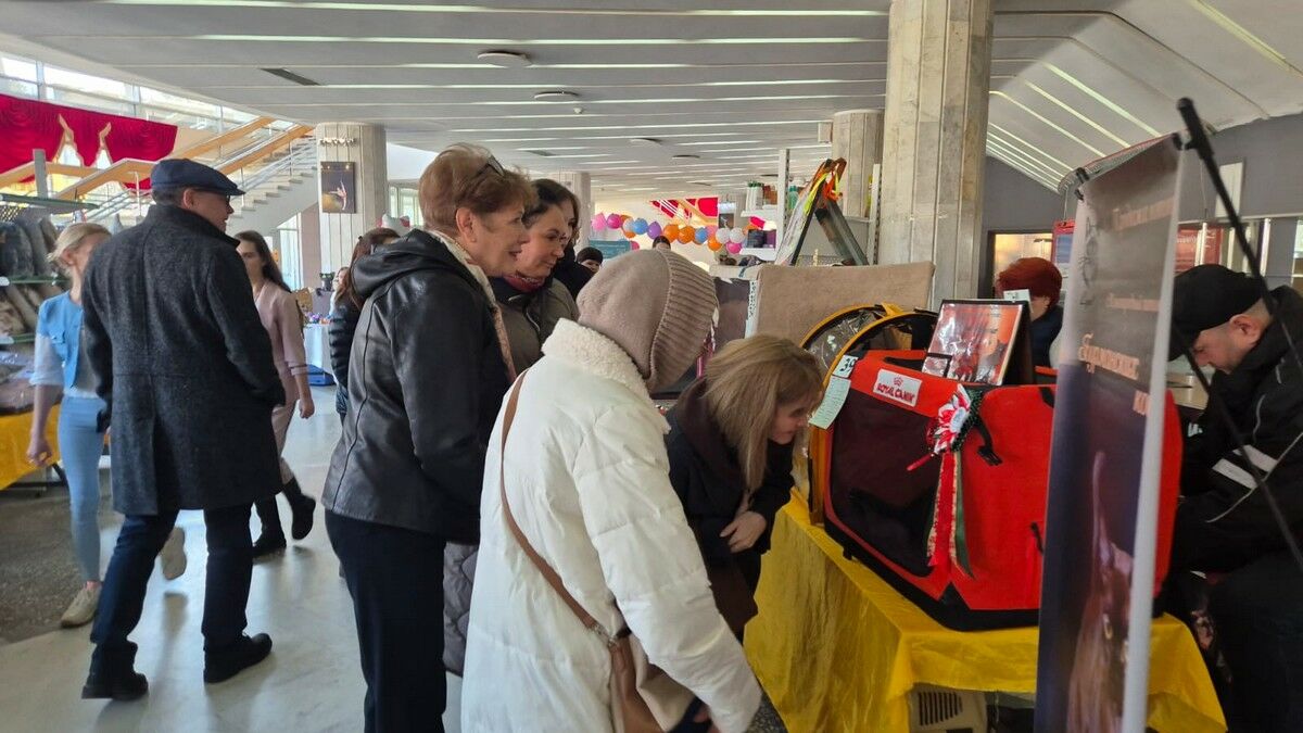 Голубые победили – Фото №1