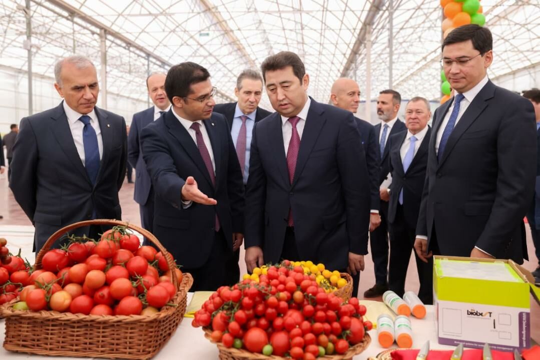 Томатный рай