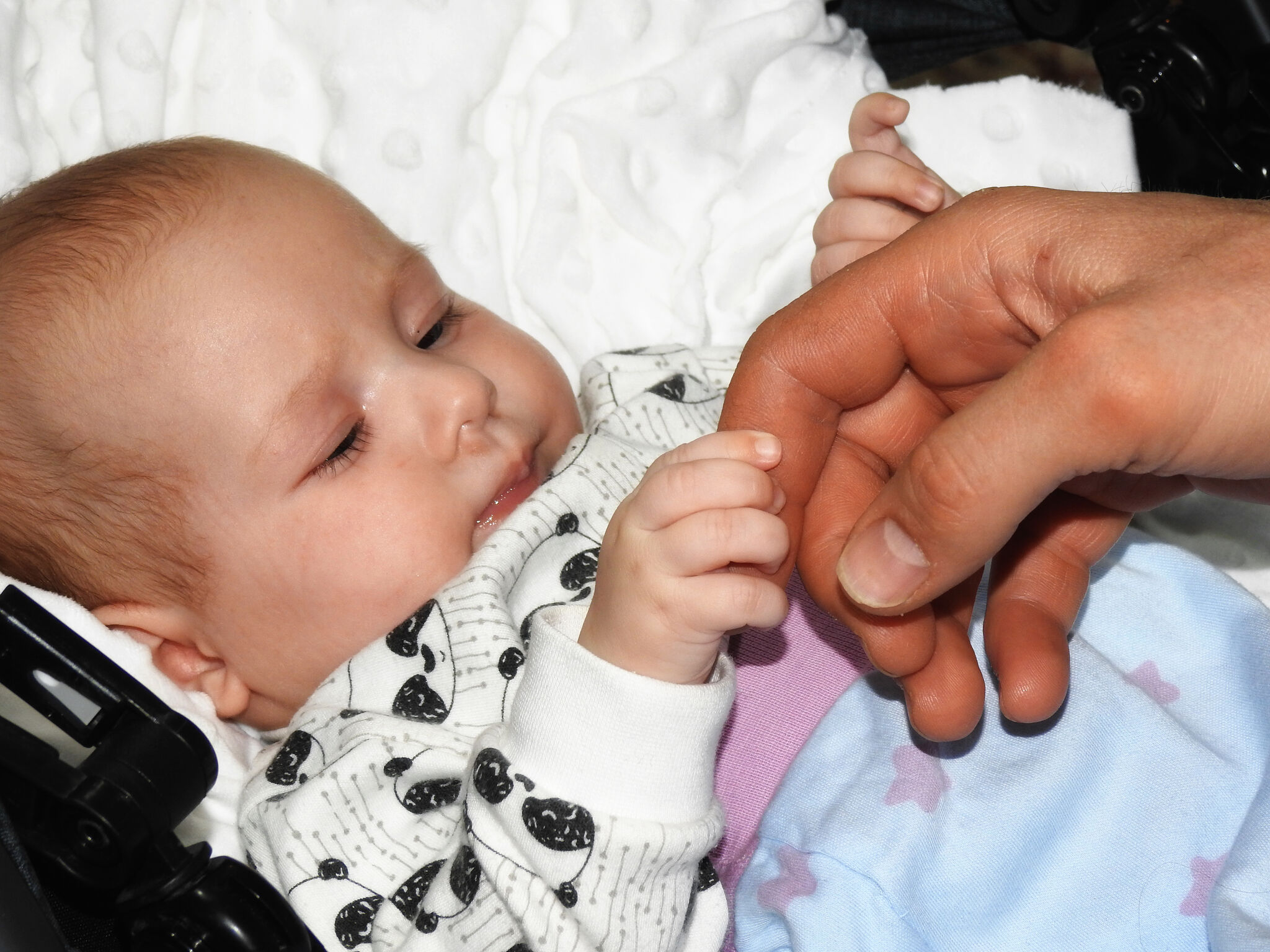 Держать вирус под контролем