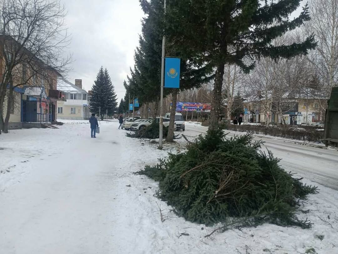 Ёлки-палки!