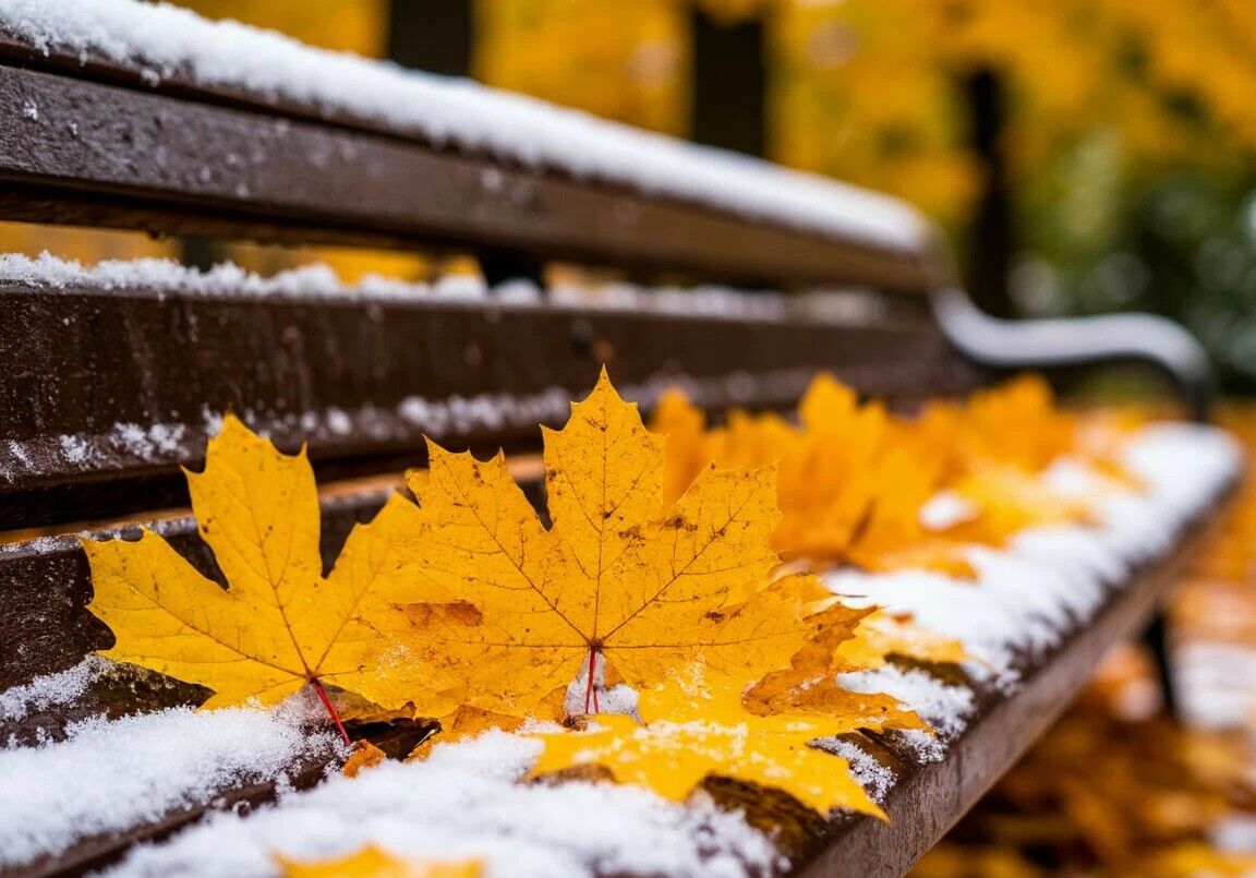 Дождь со снегом ожидается в среду в большинстве регионов Казахстана