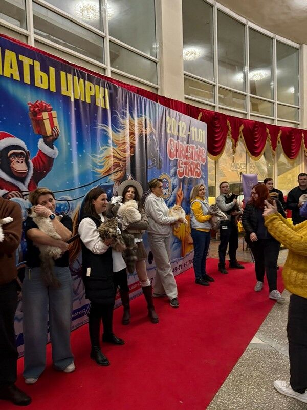 Голубые победили – Фото №2