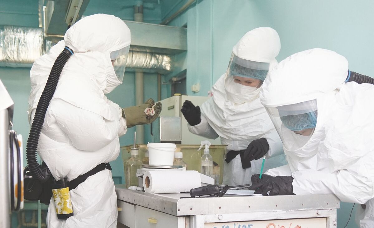 Чумы нам ещё не хватало