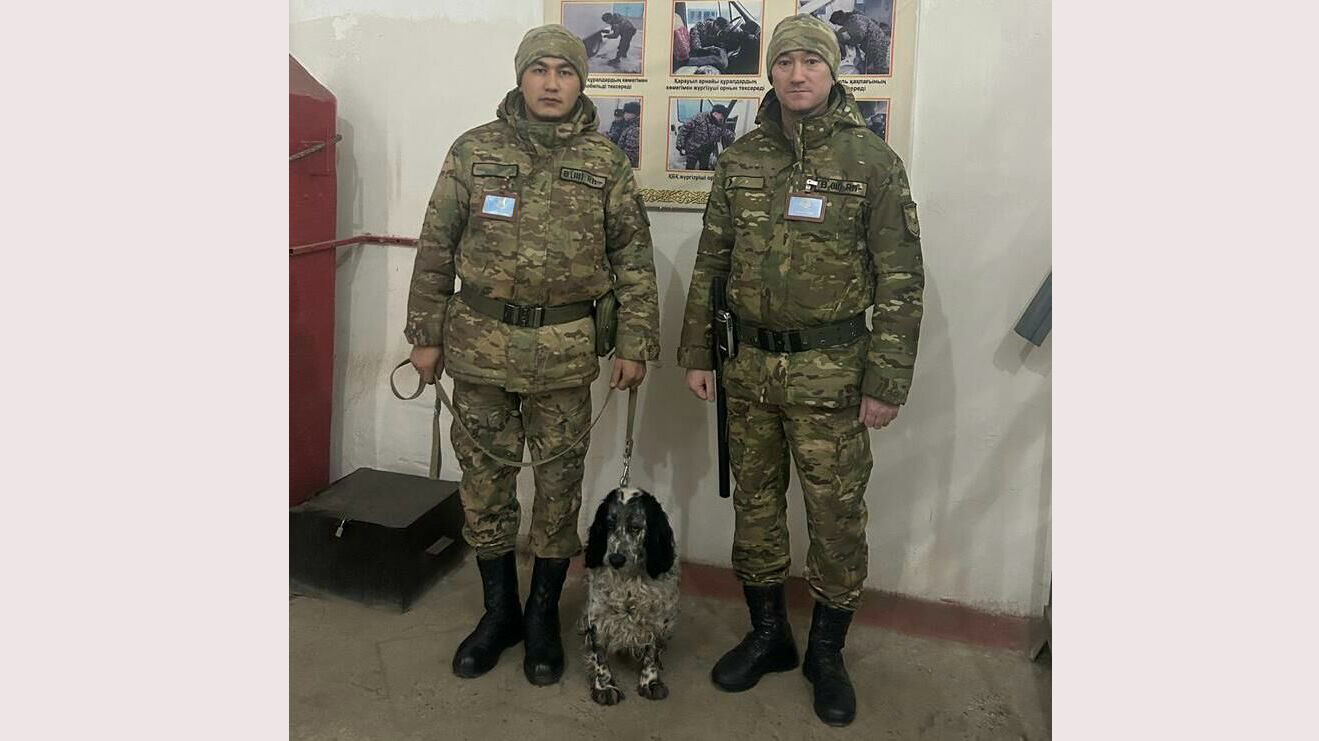 Детектив оправдал доверие