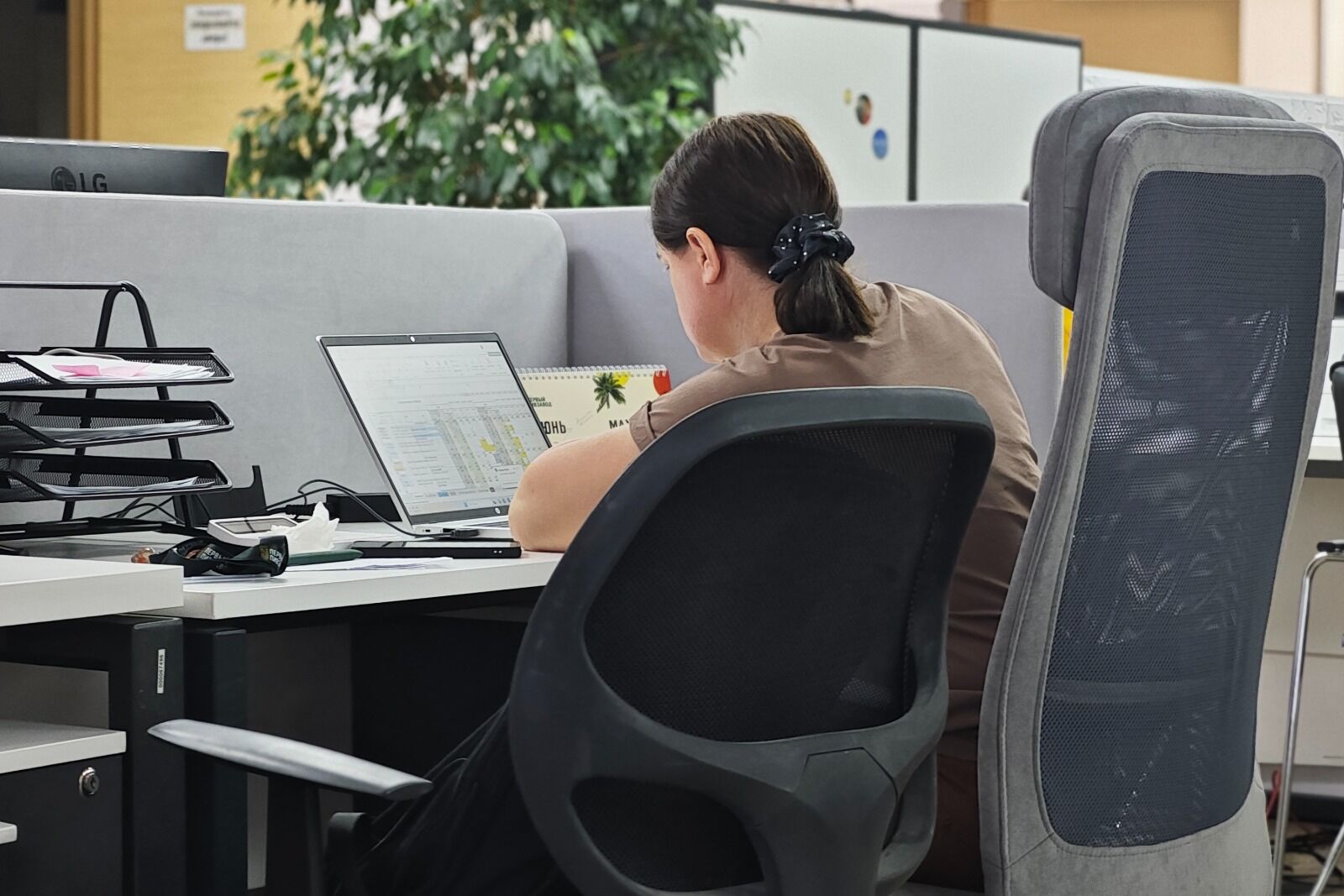 Аудит без выезда