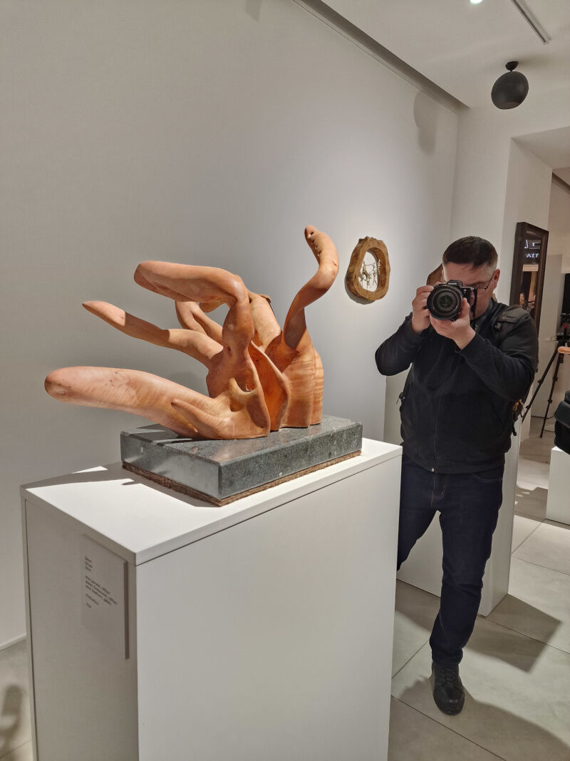 Дерево диктует – Фото №4