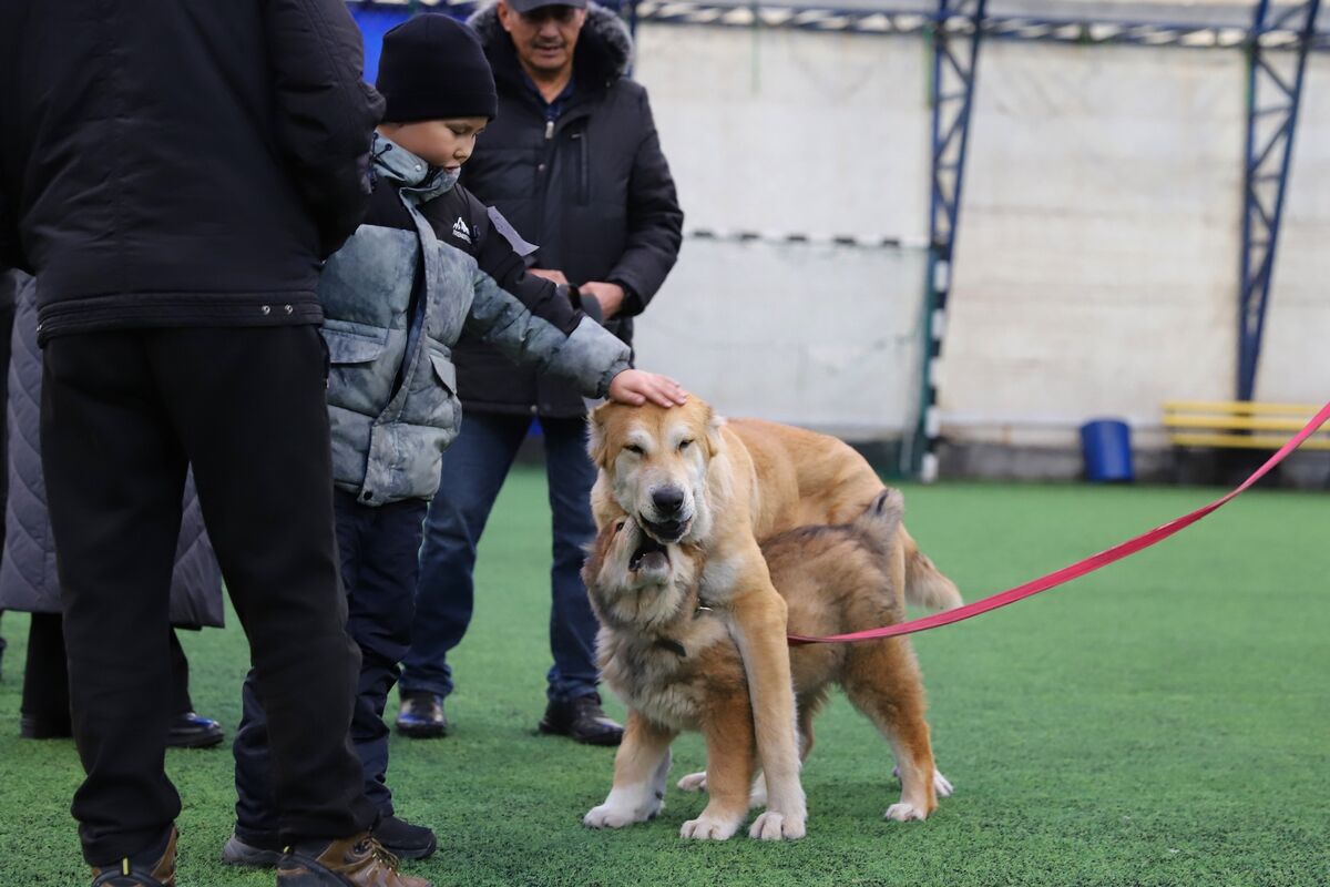 Чистая линия – Фото №7 Чистая линия – Фото №7
