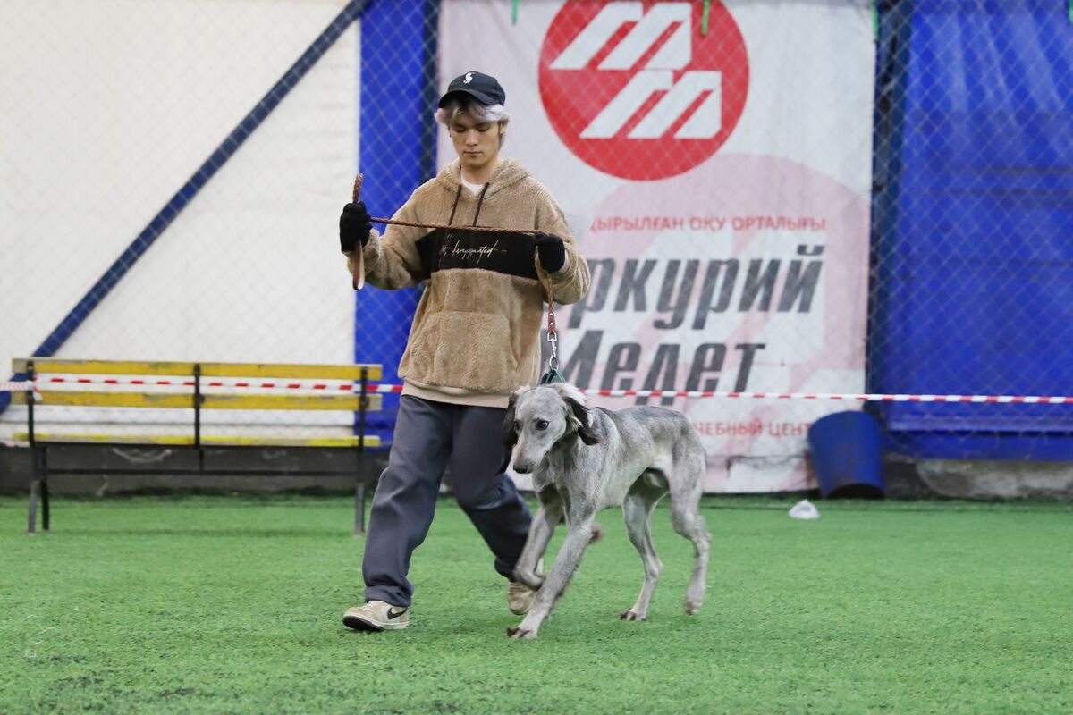 Чистая линия – Фото №15 Чистая линия – Фото №15