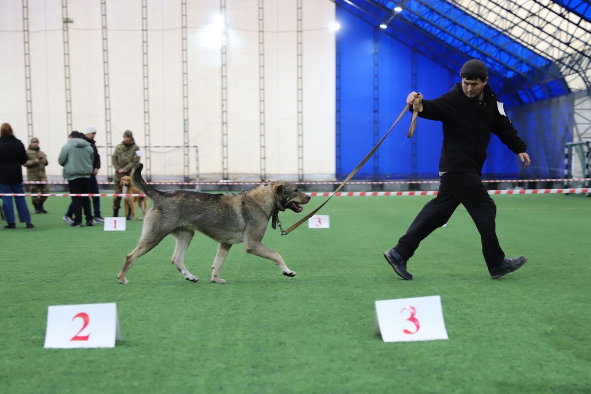 Чистая линия – Фото №9 Чистая линия – Фото №9