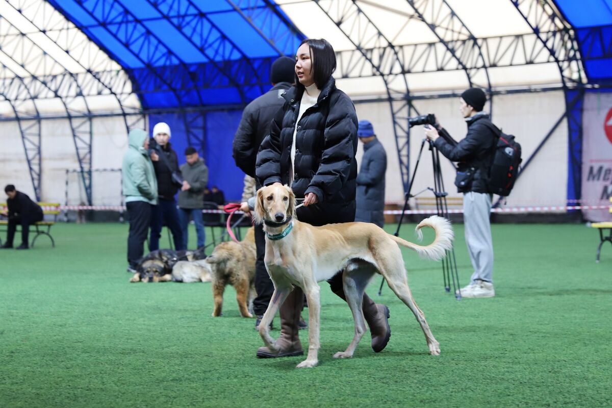 Чистая линия – Фото №1 Чистая линия – Фото №1