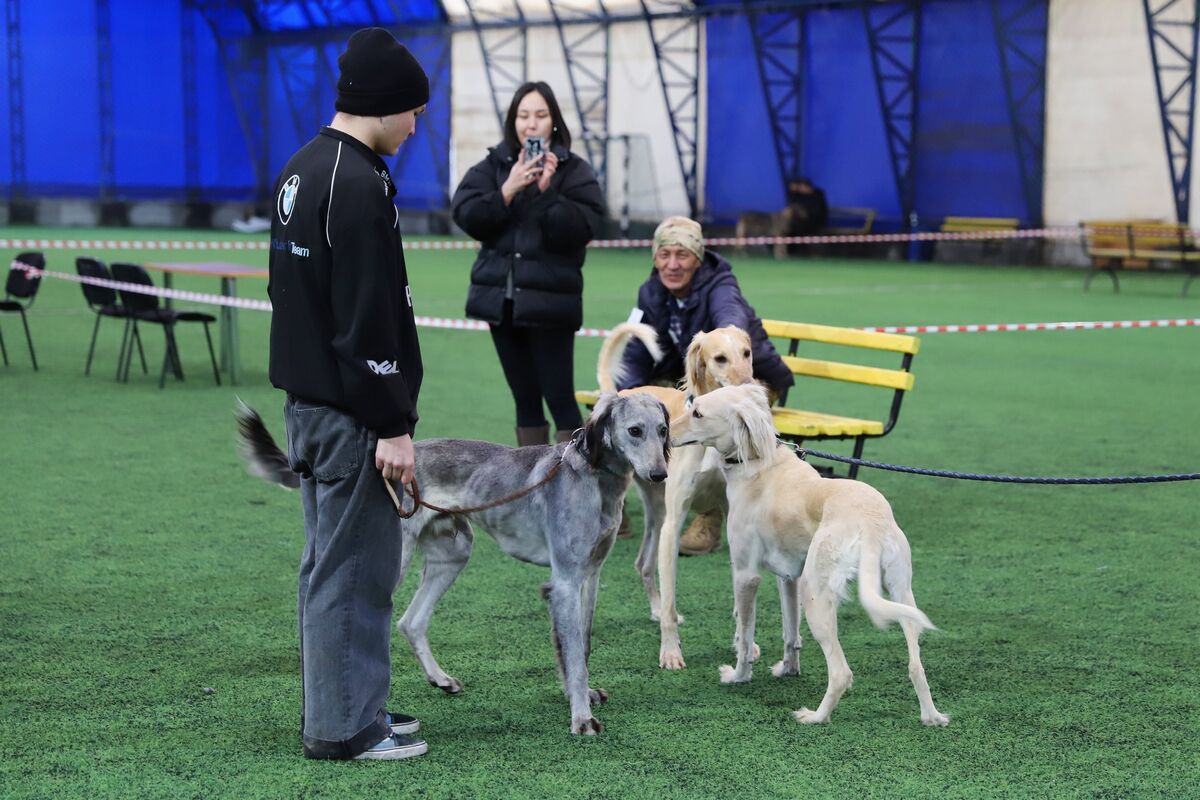 Чистая линия – Фото №3 Чистая линия – Фото №3
