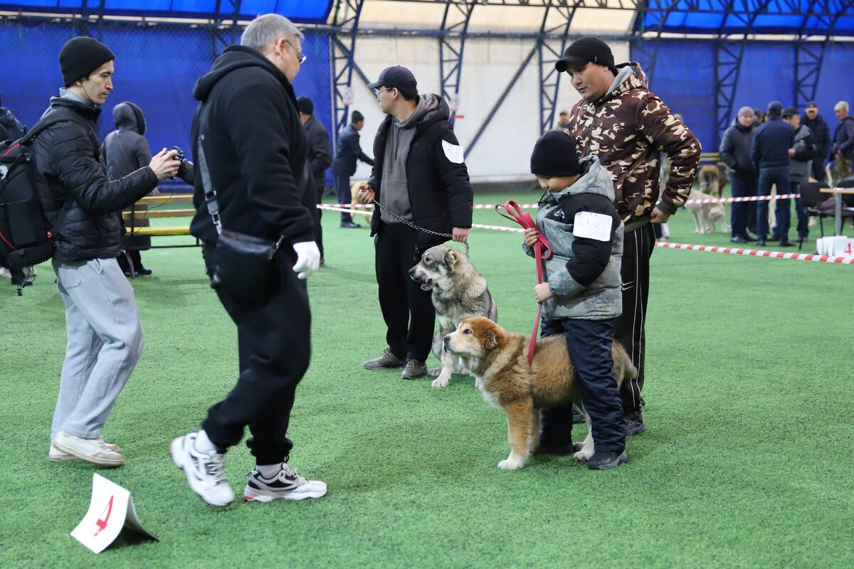 Чистая линия – Фото №16 Чистая линия – Фото №16
