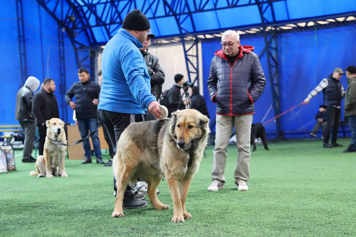Чистая линия – Фото №5 Чистая линия – Фото №5