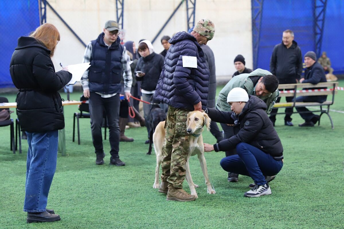 Чистая линия – Фото №13 Чистая линия – Фото №13