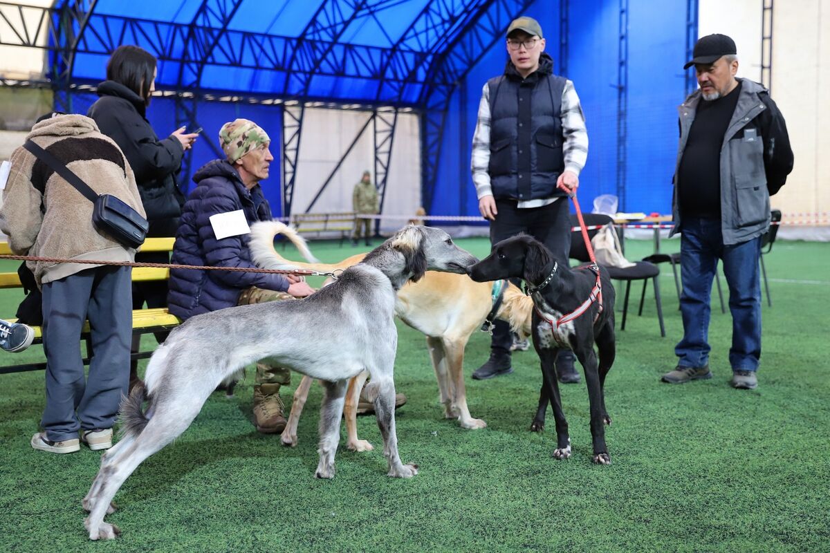 Чистая линия – Фото №6 Чистая линия – Фото №6