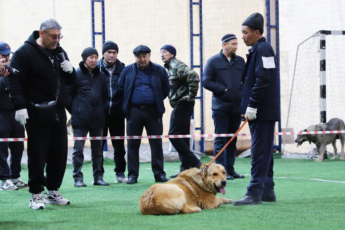 Чистая линия – Фото №10 Чистая линия – Фото №10