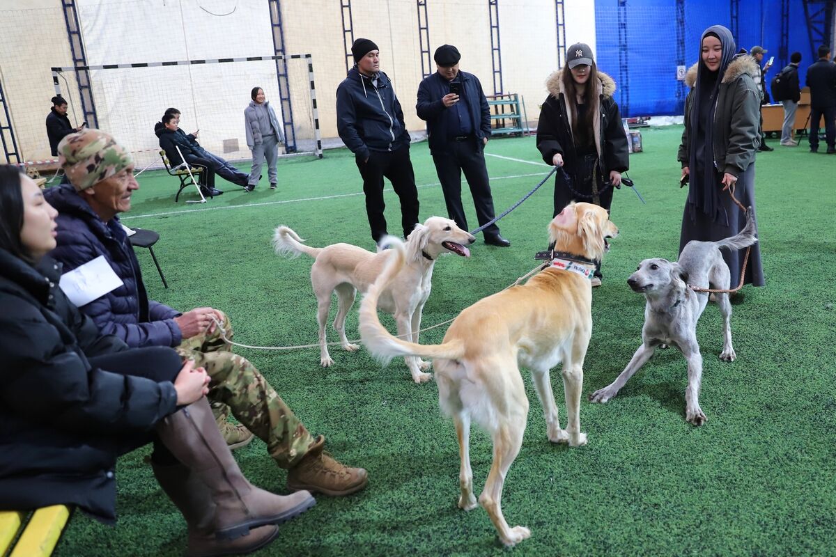 Чистая линия – Фото №4 Чистая линия – Фото №4